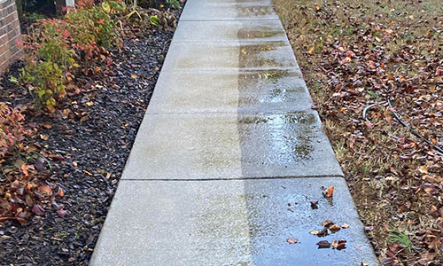 Driveway Cleaning: What Actually Works for Oil, Rust, and Leaf-Tannin Stains